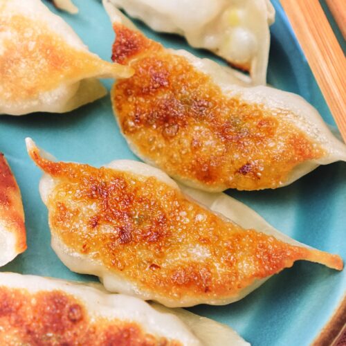 Gyoza Pan Fried Dumplings Khin's Kitchen Appetizer