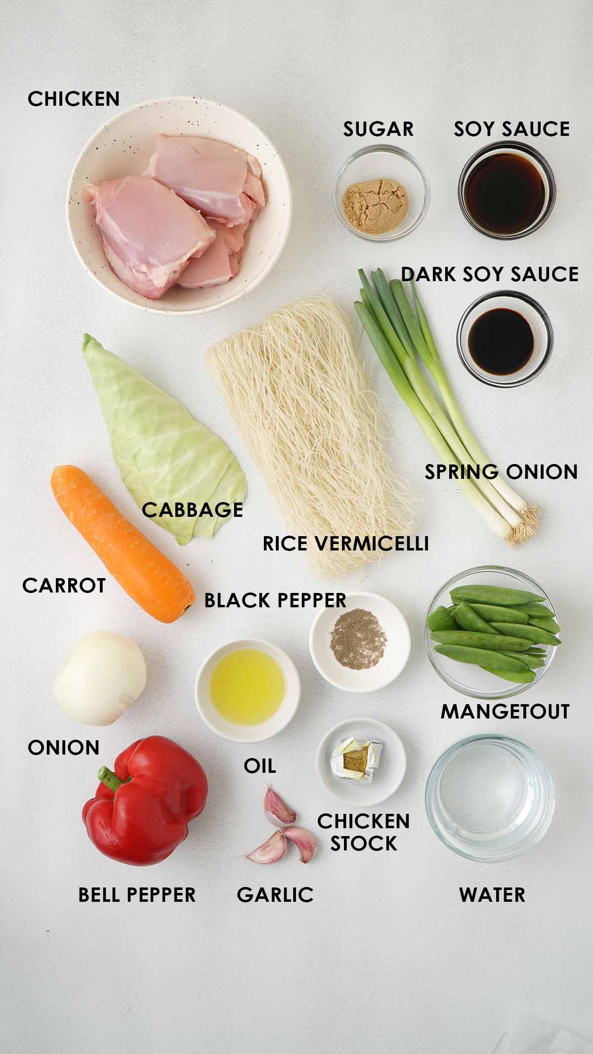 Labelled ingredients of making stir fry noodles with vegetables displayed on the white table. 