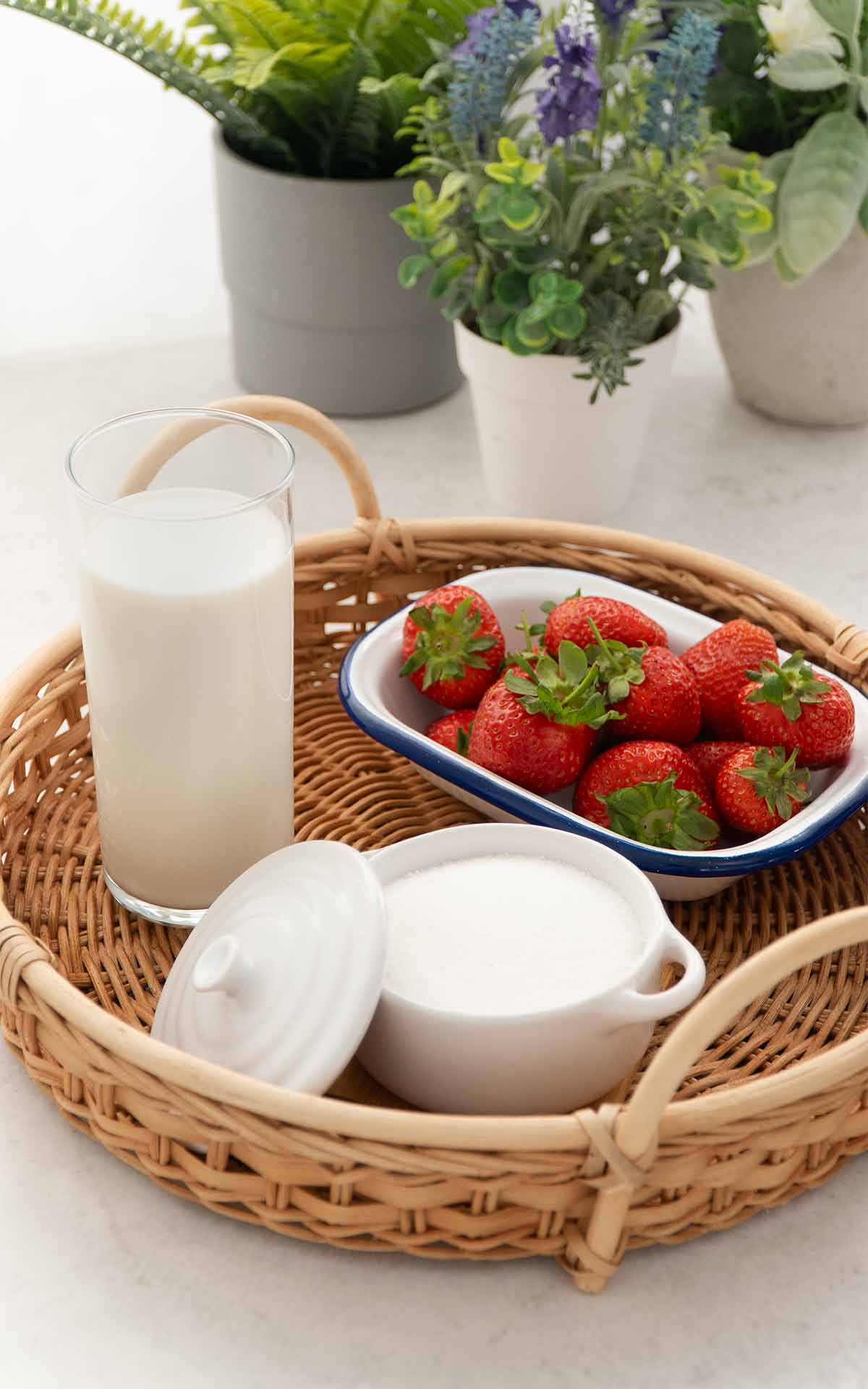 Image of strawberry milk ingredients: milk, strawberries and sugar display on the rattan tray. 